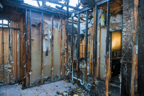Professional Odor Removal technician working in West Fork, AR